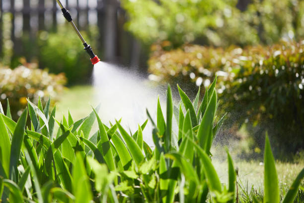 24/7 Emergency Ant Control experts in Hagerstown, MD